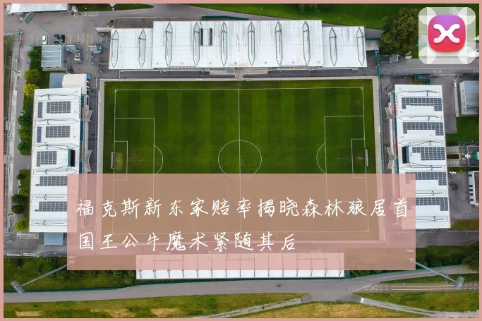 福克斯新东家赔率揭晓森林狼居首国王公牛魔术紧随其后