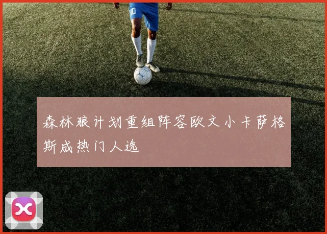 森林狼计划重组阵容欧文小卡萨格斯成热门人选